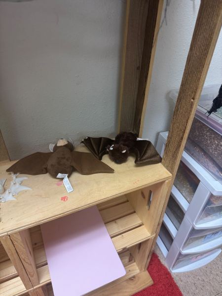 Dramatic Play Center, Bats theme