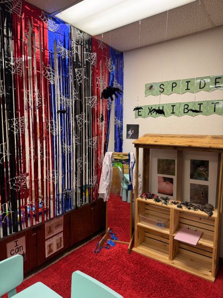 Dramatic Play Center, Spiders theme