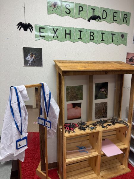 Dramatic Play Center, Spiders theme
